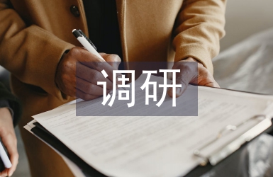 品牌戰(zhàn)略調研