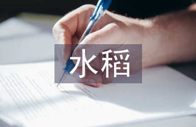 水稻種植機械化研究3篇