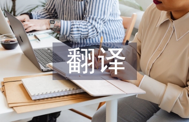 翻譯文學(xué)論文