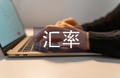 匯率風險論文