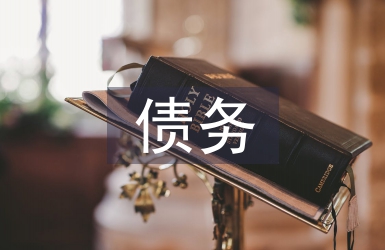 債務風險論文