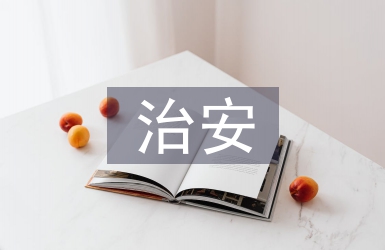 治安防控論文