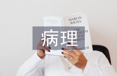 病理學的基本研究方法