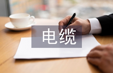 電纜調查報告