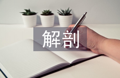 解剖論文