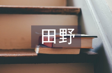 田野調查報告