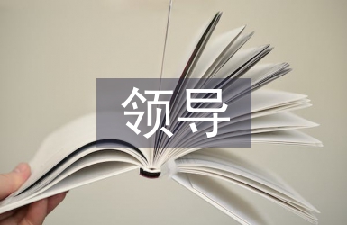 領導任職報告