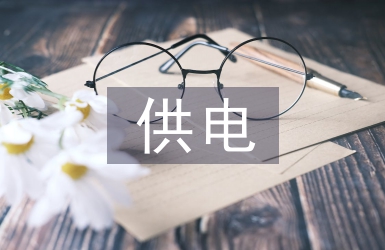 供電公司安全整治總結