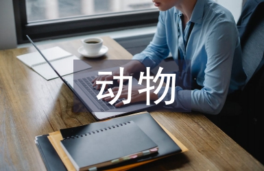 動物醫學專業就業方向