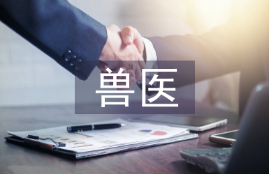 獸醫個人工作計劃