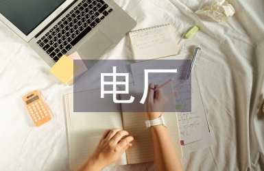 電廠員工年終總結