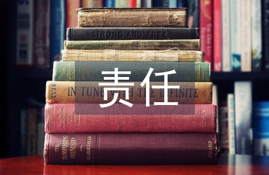監理工程師的責任風險分析