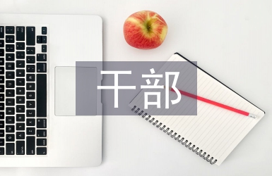 扶貧干部總結發言