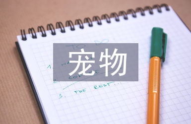 寵物醫生畢業論文