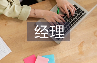 it經理述職報告