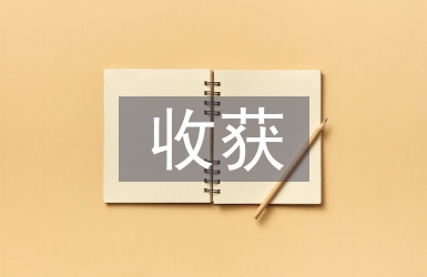 畢業設計體會與收獲