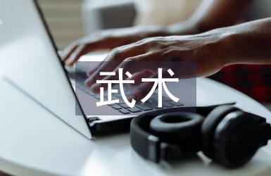 武術活動總結