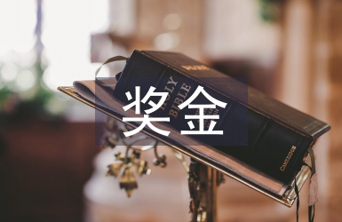獎金核算會計工作計劃
