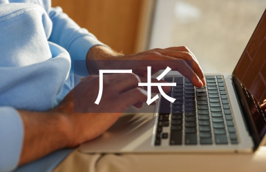 廠長工作要點(diǎn)