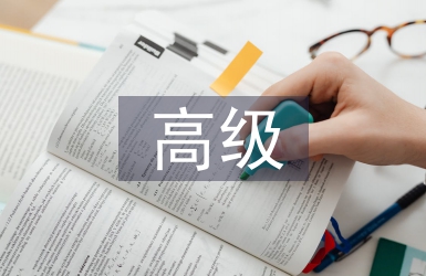 高級審計論文