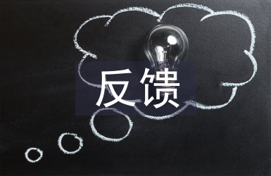村級巡察反饋整改方案