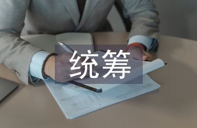 統籌管理論文