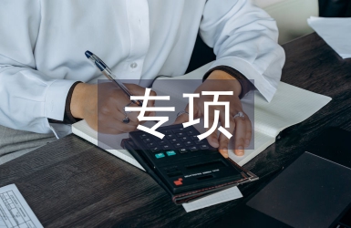 專項督查匯報材料