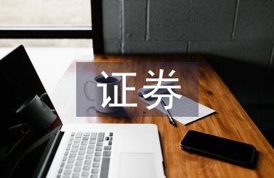 證券團隊隊工作計劃
