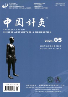 中國針灸期刊