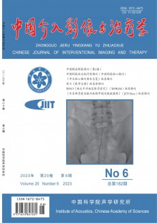 中國介入影像與治療學期刊