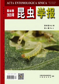 昆蟲學報期刊