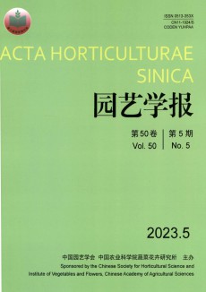 園藝學報期刊