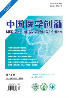 中國醫學創新期刊