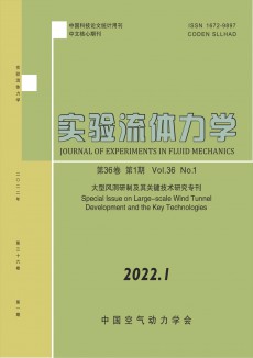 實驗流體力學期刊