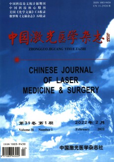 中國激光醫學期刊