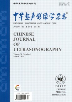 中華超聲影像學期刊