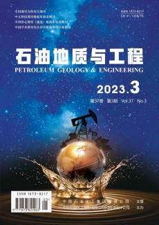 石油地質與工程期刊