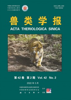 獸類學(xué)報期刊