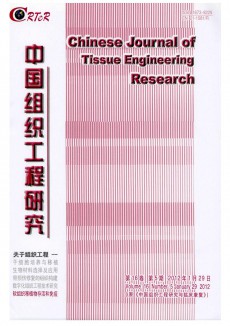 中國組織工程研究與臨床康復期刊
