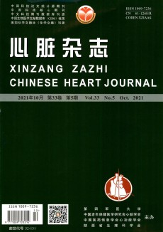 心功能