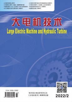 大電機(jī)技術(shù)