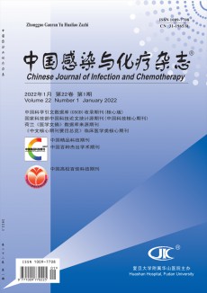中國感染與化療期刊