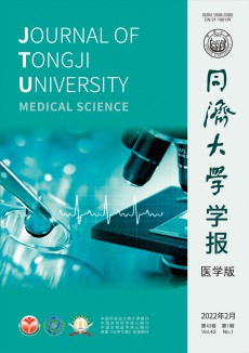同濟大學學報·自然科學版期刊