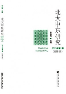 北大中東研究